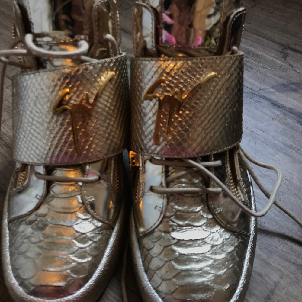 Giuseppe Zanotti - Picture 5 of 7